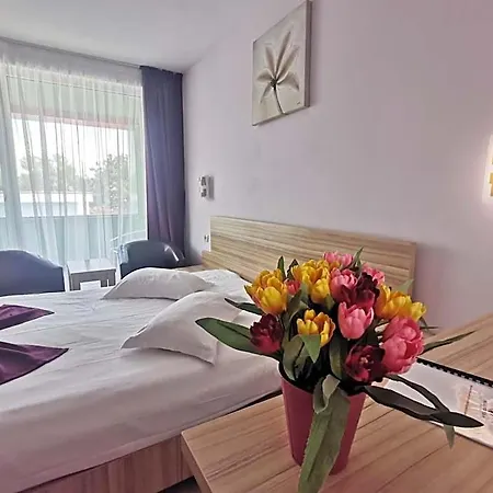 Hotel Fortuna 3*
